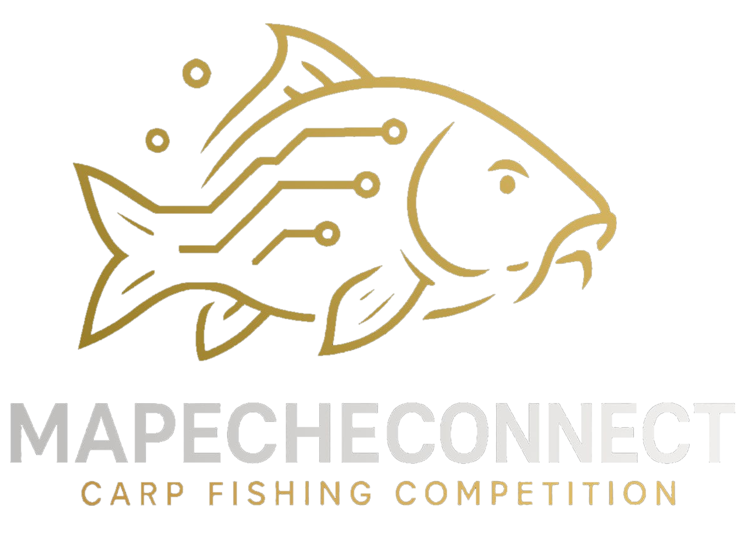 Mapecheconnect